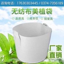  哈爾濱國大環保制品國際經貿公司 主營 花盆 育苗杯 育秧杯