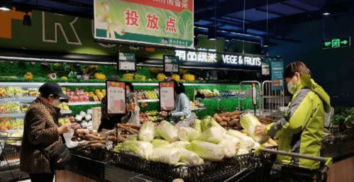 明起,哈市投放這種平價菜,比市價低10 以上 14個投放點↘